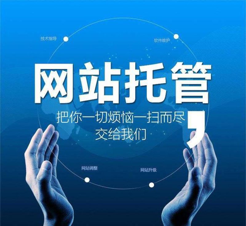 站群程序出售市场辨析：从技术架构到落地成效的完整观察